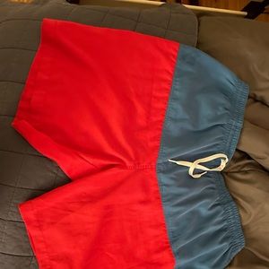 Chubbies bathing suit